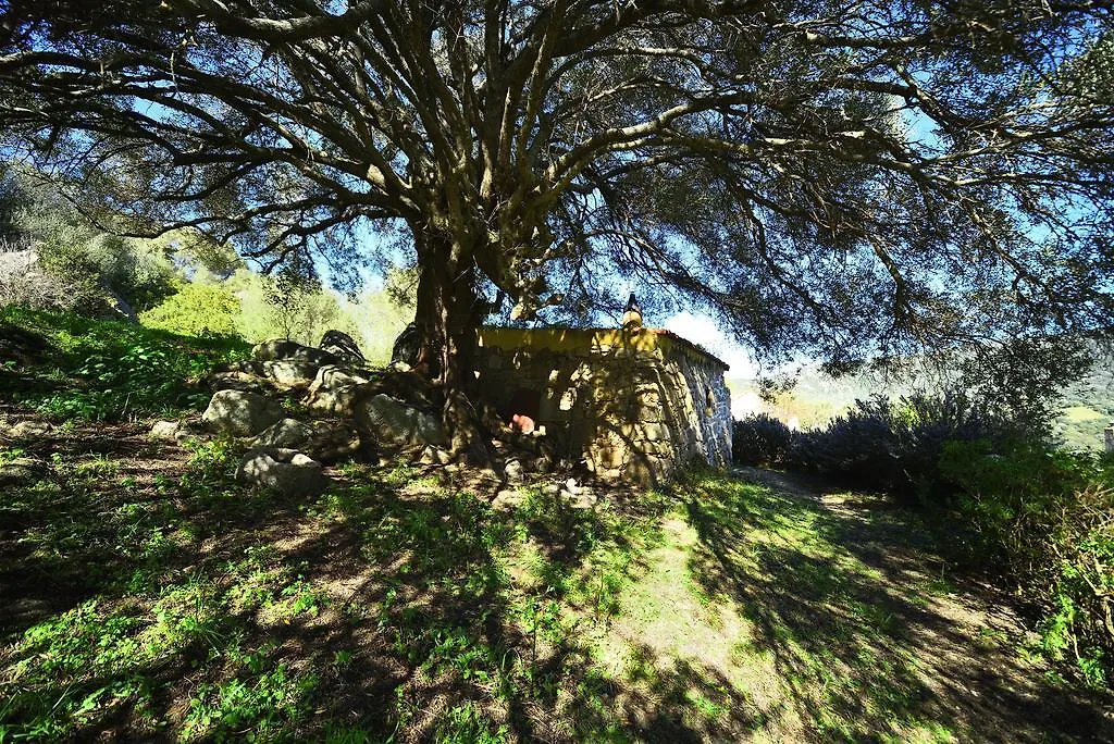 Villa Lu Rotu Sant'Antonio di Gallura Alloggio per agriturismo