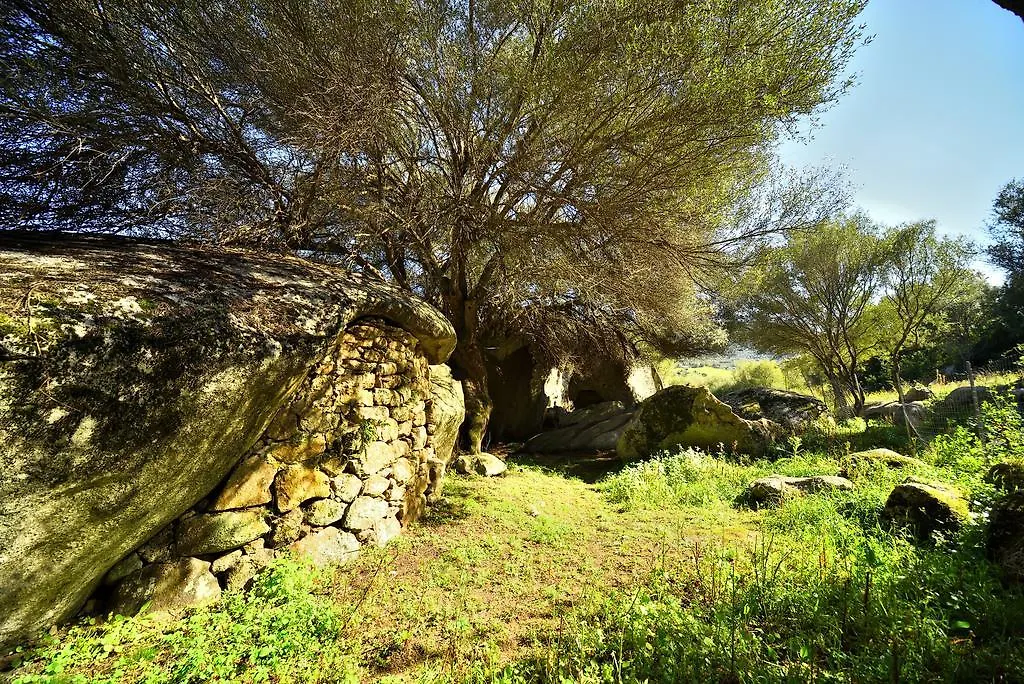 Villa Lu Rotu Sant'Antonio di Gallura