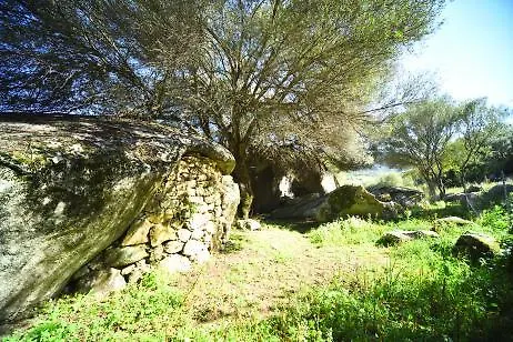 Villa Lu Rotu Sant'Antonio di Gallura Alloggio per agriturismo